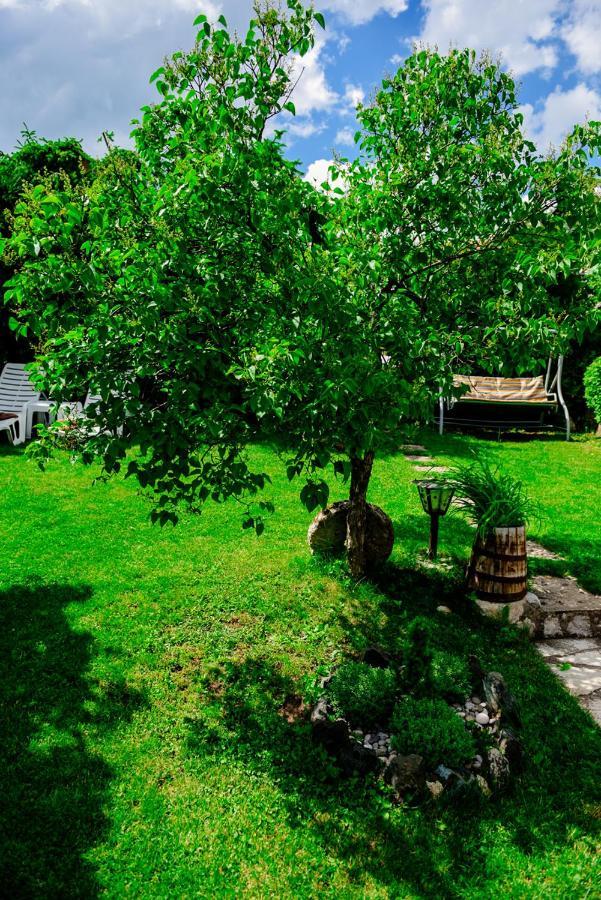 Apartments Predah, Mijaila Radovica 13A Zlatibor Kültér fotó